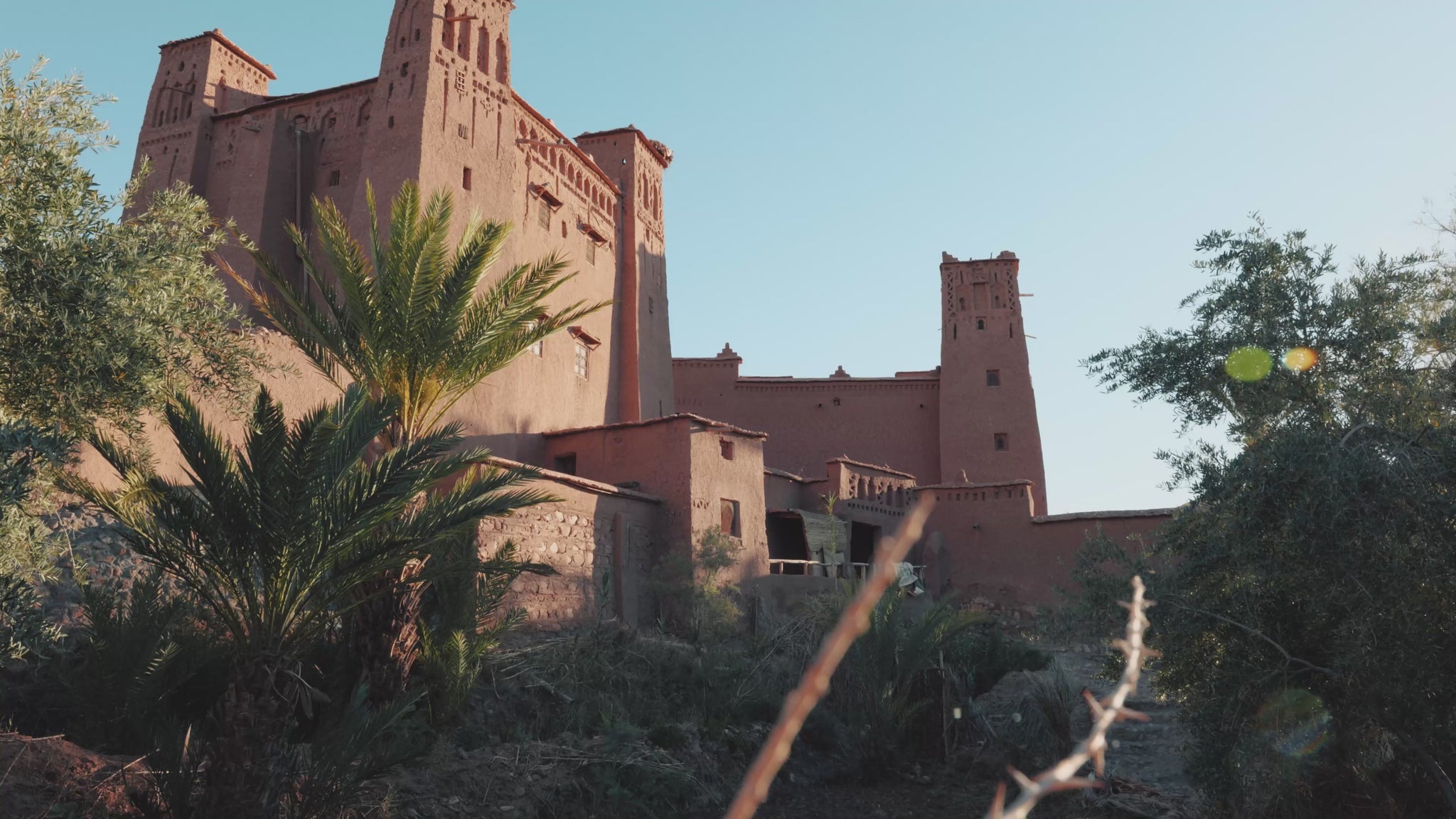 Historic Moroccan buildings with tree in foreground